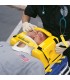 Head Immobilization System